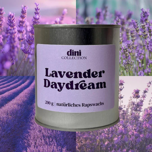 Lavender Daydream
